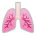lungs as rendered by Sony