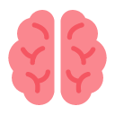 Brain as drawn by Toss Face in 1.3