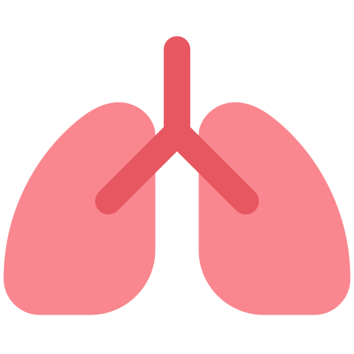 lungs as rendered by Toss Face