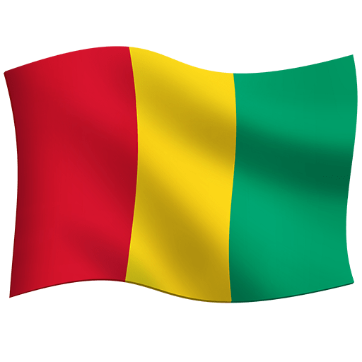 flag: Guinea as rendered by Twitter Emoji Stickers