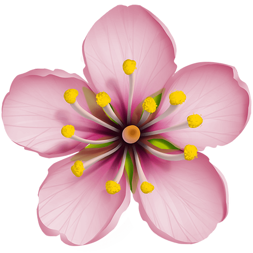 cherry blossom as rendered by Twitter Emoji Stickers