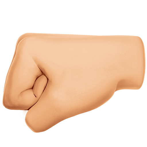 left-facing fist: medium-light skin tone as rendered by Twitter Emoji Stickers