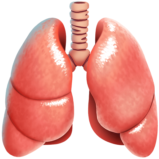 lungs as rendered by Twitter Emoji Stickers