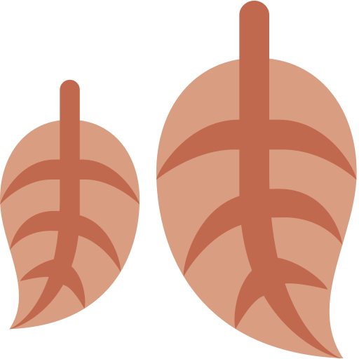 Hojas Caídas as drawn by Twitter / X in 2026 01 09 Update