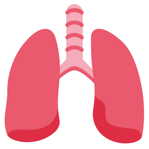 lungs as rendered by Twitter / X