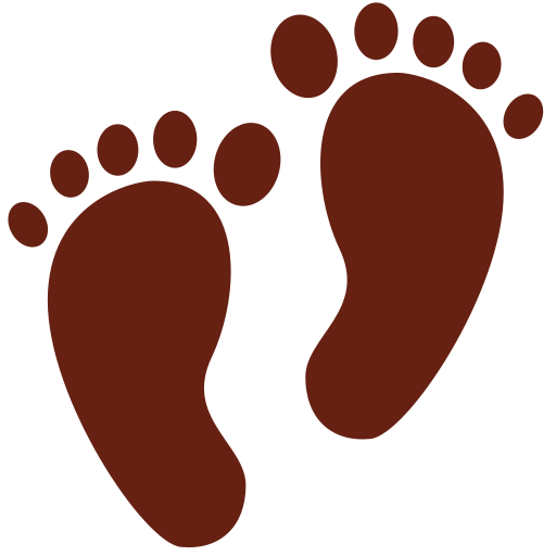 Footprints as drawn by Twitter / X in Twemoji 2.1
