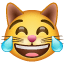 cat with tears of joy — WhatsApp