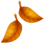 Fallen Leaf as drawn by WhatsApp in 2.18.379