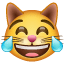 Cat with Tears of Joy, the previous design