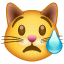 وجه قطة يبكي as drawn by WhatsApp in 2.19.175