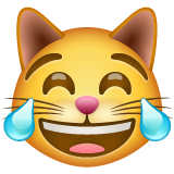 Cat with Tears of Joy, the design in this release
