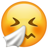 Sneezing Face, the design in this release
