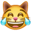 Cat with Tears of Joy, the design in this release
