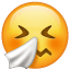 Sneezing Face, the design in this release