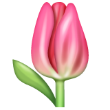 Tulip as drawn by WhatsApp in 2.24.2.76