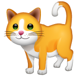 Cat as drawn by WhatsApp in 2.24.2.76