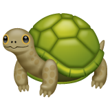 Turtle as drawn by WhatsApp in 2.24.8.85