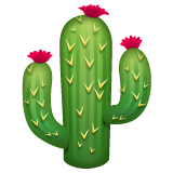 cactus as rendered by WhatsApp
