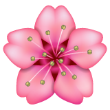 cherry blossom as rendered by WhatsApp