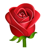 장미꽃 as rendered by WhatsApp