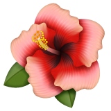 Hibiskus as rendered by WhatsApp