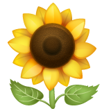 Sonnenblume as rendered by WhatsApp