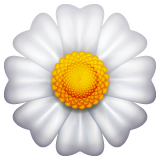 开花 as rendered by WhatsApp