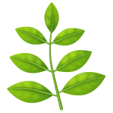 herb as rendered by WhatsApp