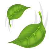 leaf fluttering in wind as rendered by WhatsApp
