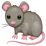 ratto as rendered by WhatsApp
