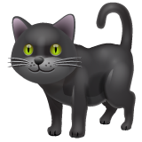 black cat as rendered by WhatsApp