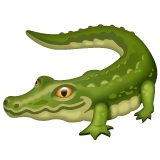 تمساح as rendered by WhatsApp