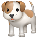 cane as rendered by WhatsApp