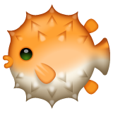 ๋ณต์ด as rendered by WhatsApp