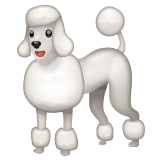 poodle as rendered by WhatsApp