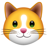وجه قطة as rendered by WhatsApp