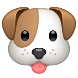muso di cane as rendered by WhatsApp