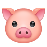 muso di maiale as rendered by WhatsApp