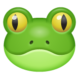 grenouille as rendered by WhatsApp