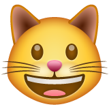 gatto che sorride as rendered by WhatsApp