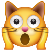 gatto esterrefatto as rendered by WhatsApp