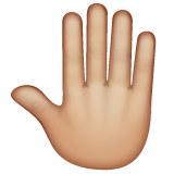 raised back of hand: medium-light skin tone as rendered by WhatsApp
