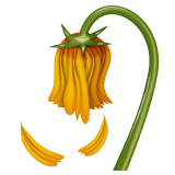wilted flower as rendered by WhatsApp