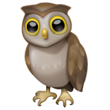 owl as rendered by WhatsApp