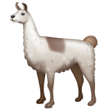 llama as rendered by WhatsApp