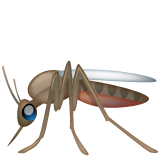 mosquito as rendered by WhatsApp