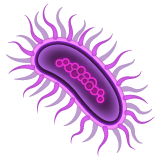 microbe as rendered by WhatsApp