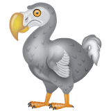 dodo as rendered by WhatsApp