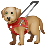 guide dog as rendered by WhatsApp