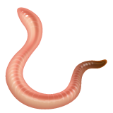 verme as rendered by WhatsApp